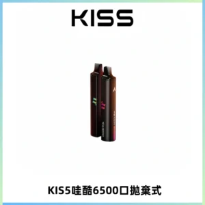 KIS5WAGOO哇酷6500口拋棄式 | 自由混搭雙口味 | 雙芯組合