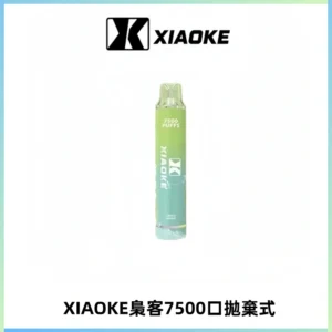 XIAOKE梟客7500Puffs跑馬燈拋棄式電子煙 可發光一次性